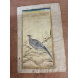 19th century Persian illuminated page depicting a silver pheasant