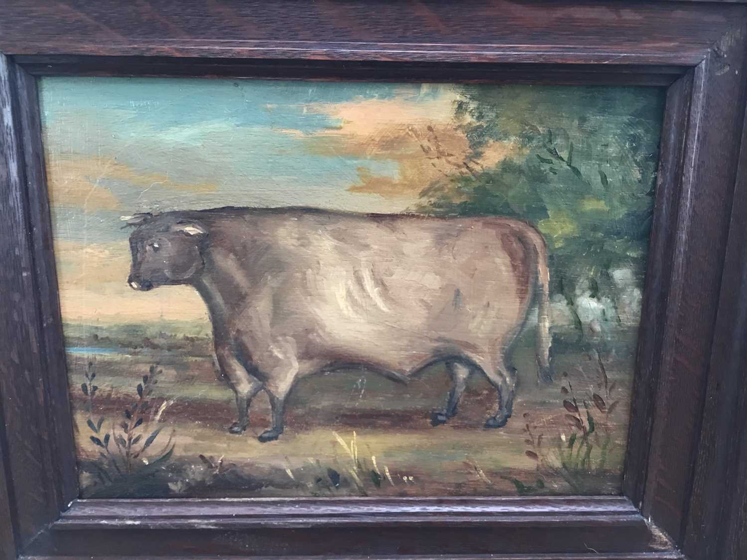 English school oil on panel - A Prize Bull, 21cm x 27cm, framed - Image 3 of 4