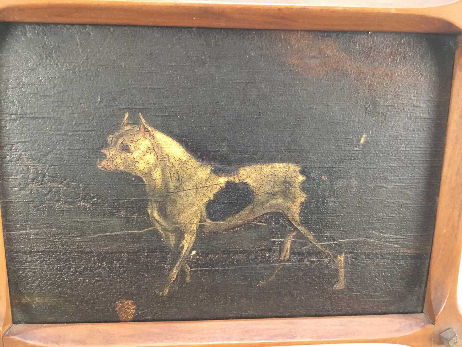 19th century oil on board study of a dog - Image 3 of 4