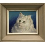 Phillip Rankine, oil on board, fluffy white cat called Buttons, signed, also inscribed verso, in pai