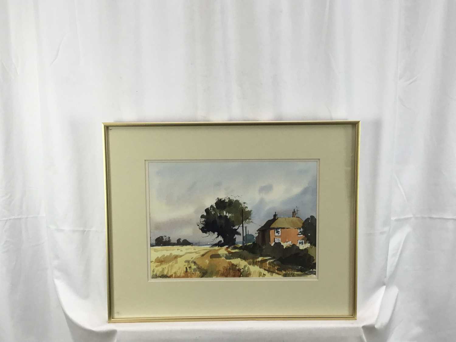 John Tookey (b. 1947) watercolour, Cottage near Cawston, Norfolk - Image 2 of 5