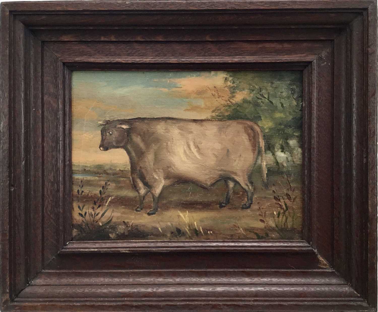 English school oil on panel - A Prize Bull, 21cm x 27cm, framed