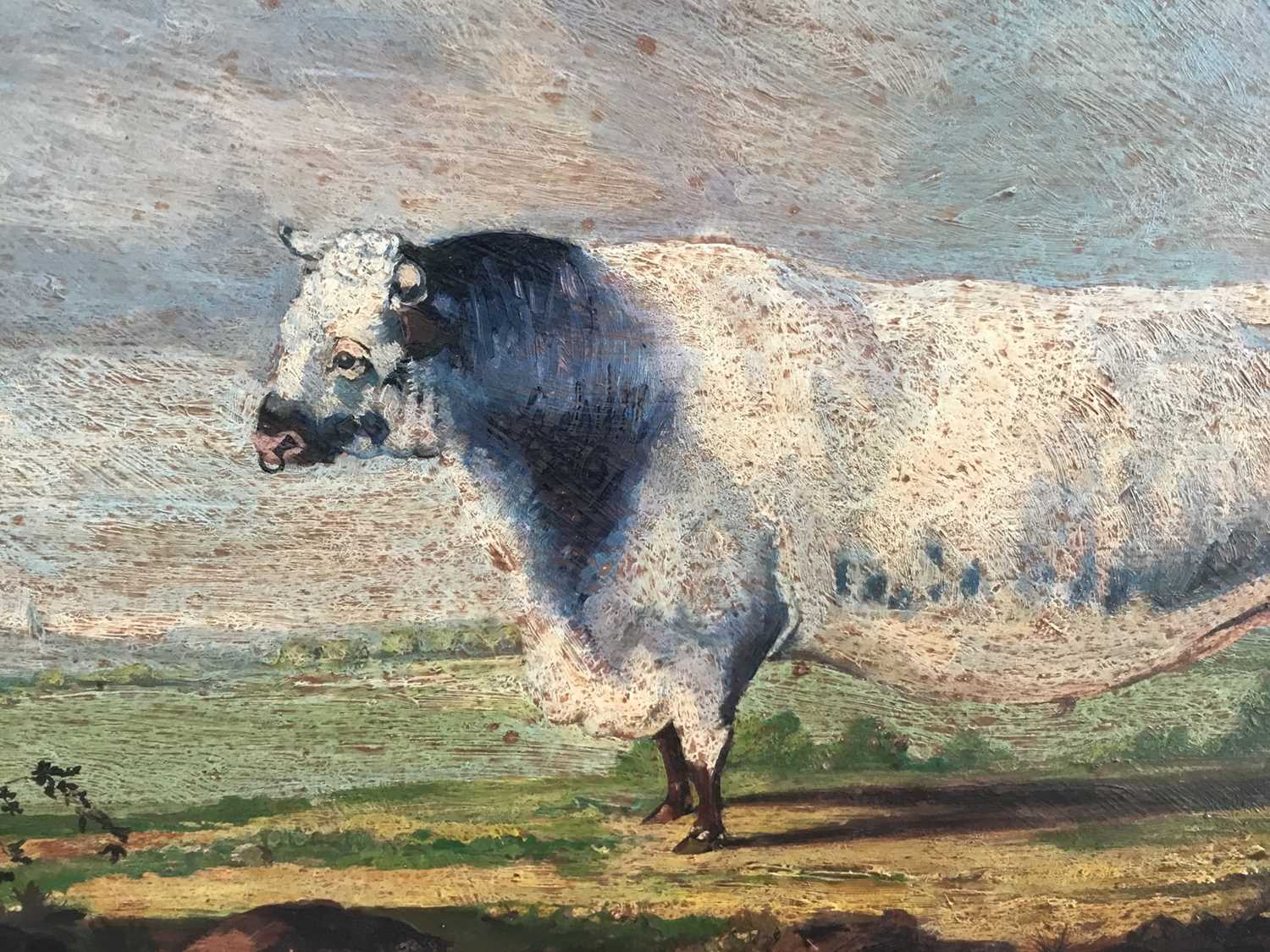 English School, oil on panel, naïve of a bull in a landscape, in maple frame, 29 x 39cm - Image 3 of 4