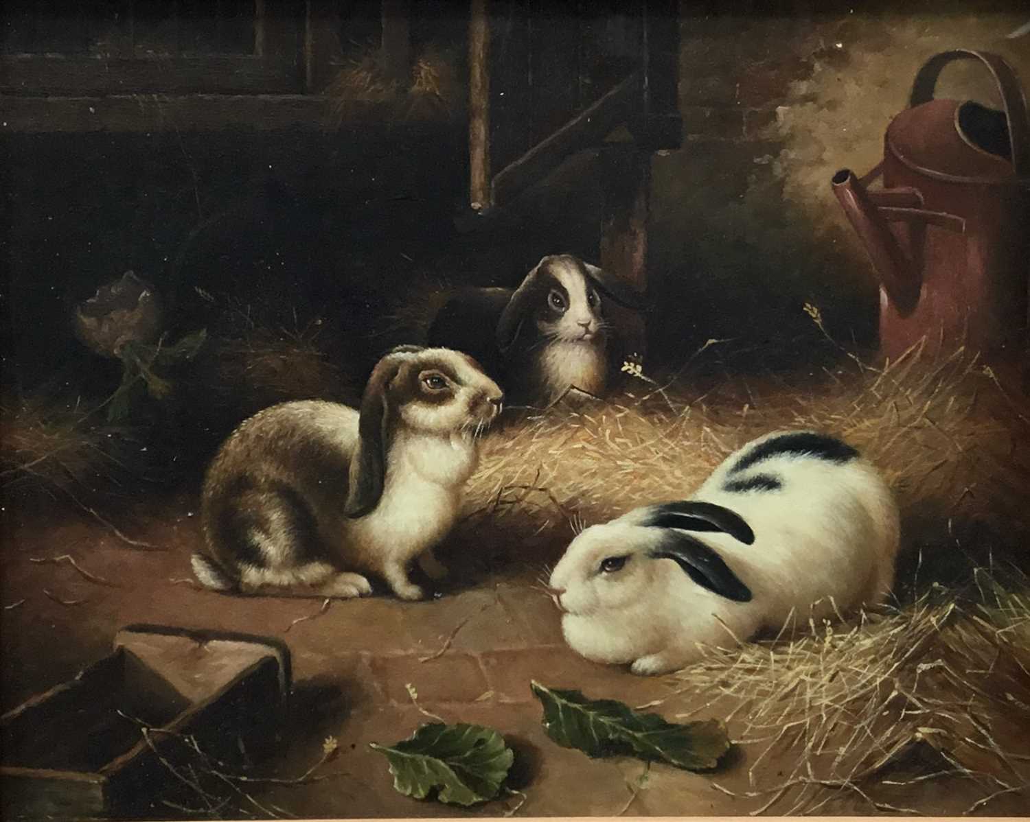 20th century English School, oil on board, Four Lop Eared Bunnies in a barn, in wooden frame, 19 x 2