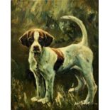 20th century, Amos Rose, oil on canvas, Foxhound, signed, 25 x 20cm, unframed