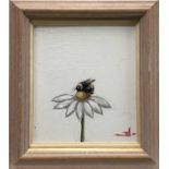 Vivek Mandalia, oil on board, bumble bee on a daisy, signed with monogram, also certificate verso, i