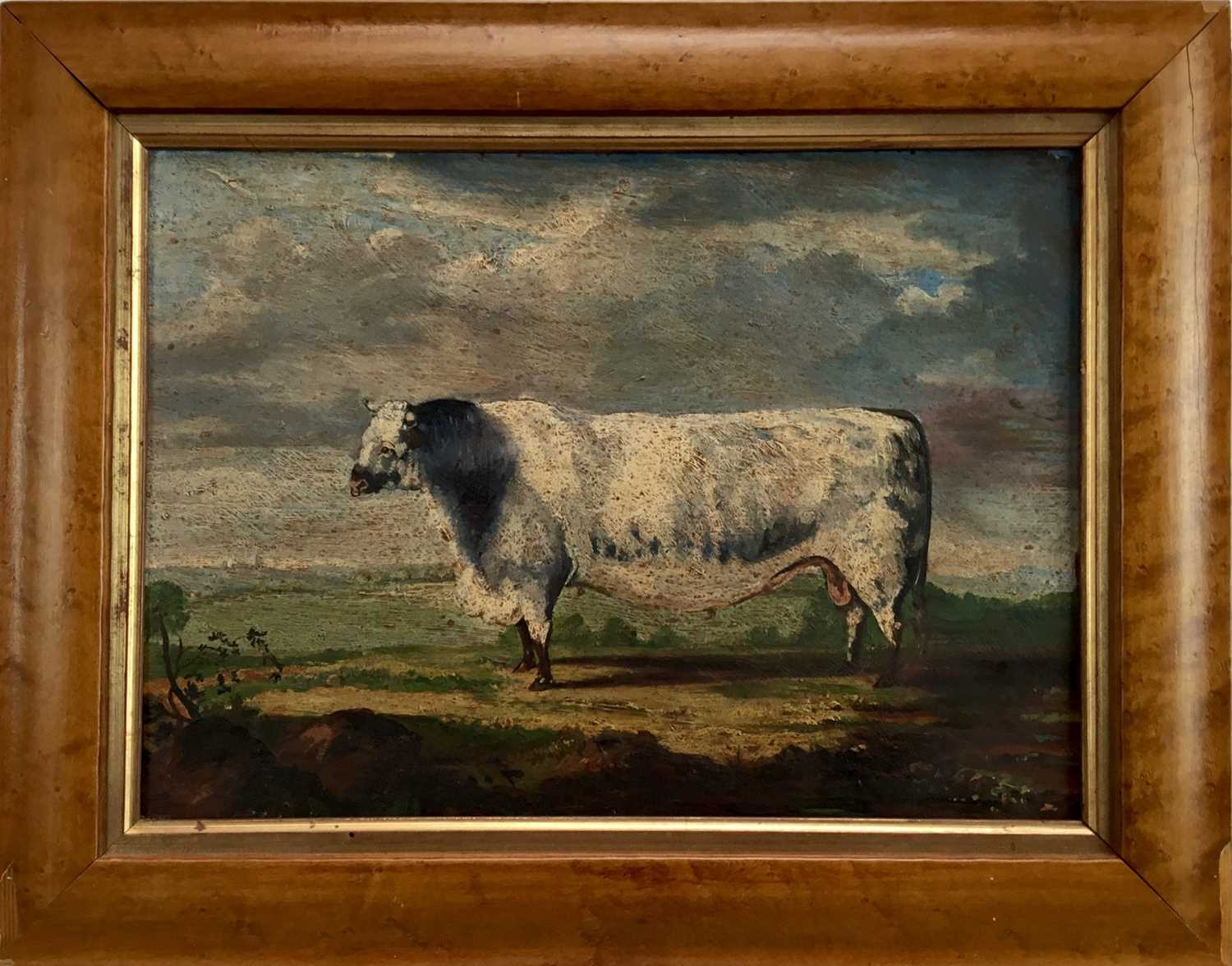 English School, oil on panel, naïve of a bull in a landscape, in maple frame, 29 x 39cm