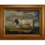 English School, oil on panel, naïve of a bull in a landscape, in maple frame, 29 x 39cm