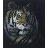Mark Luckhurst (contemporary) acrylic - Tiger head study