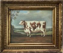 Continental School, oil on canvas - Prize Bull in a landscape, 19cm x 24.5cm, in gilt frame