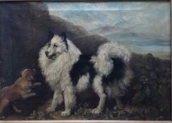 European School, oil on canvas - Pomeranian dog and a puppy in a landscape, in gilt frame. 28 x 39cm