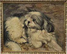 B. Matrowers, oil on canvas laid on board, very hairy dog, signed and date '84, in gilt frame. 39 x