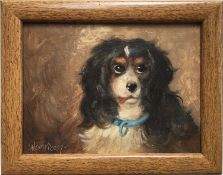 Henry Percy, oil on board, study of a King Charles spaniel, signed in light mahogany frame. 14 x 19c