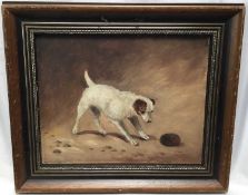 20th century English School, oil on board, A terrier dog and a hedgehog, in gilt and painted frame.