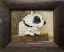 Henry Percy, oil on board, black and white terrier, signed, in painted frame. 14 x 19cm.