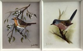 Jonathan Hall, oils on board, studies of a goldcrest, a Dartford Warbler and a Robin, signed, in whi