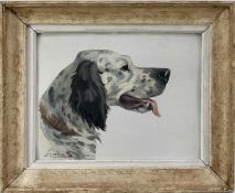 Jacques Cartier (1907 - 2001), oil on board, head and shoulders study of an English Setter, signed,