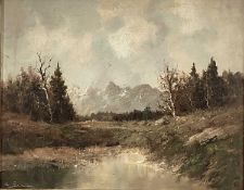 Continental School, second half 20th century, oil on canvas - Extensive Winter Landscape, indistinct