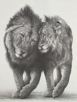 Gary Hodges, 'Friendship', limited edition pencil signed print of two lions, 370/1250, 39cm x 30cm,