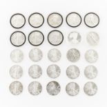 25 Fine Silver American Eagle Coins