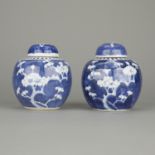 Pair of Chinese Guangxu Porcelain Ginger Jars