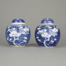 Pair of Chinese Guangxu Porcelain Ginger Jars