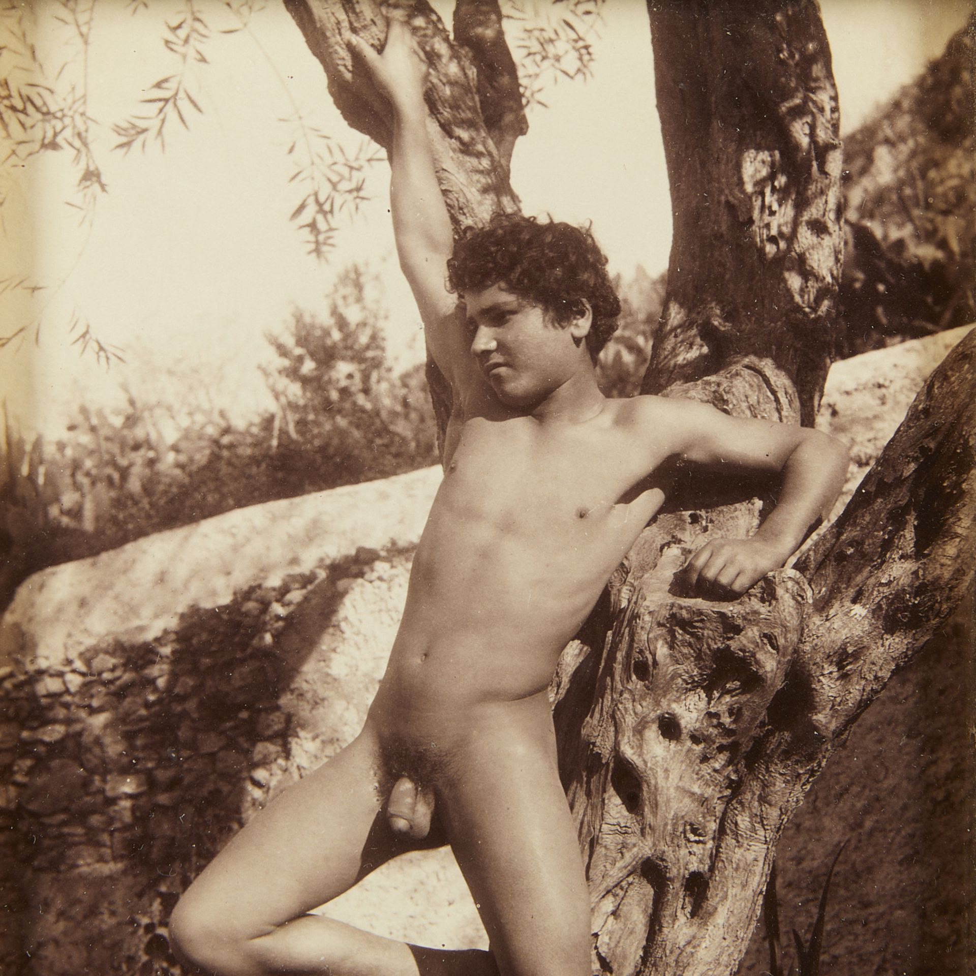 Wilhelm von Gloeden Nude GSP Photograph - Bild 3 aus 5