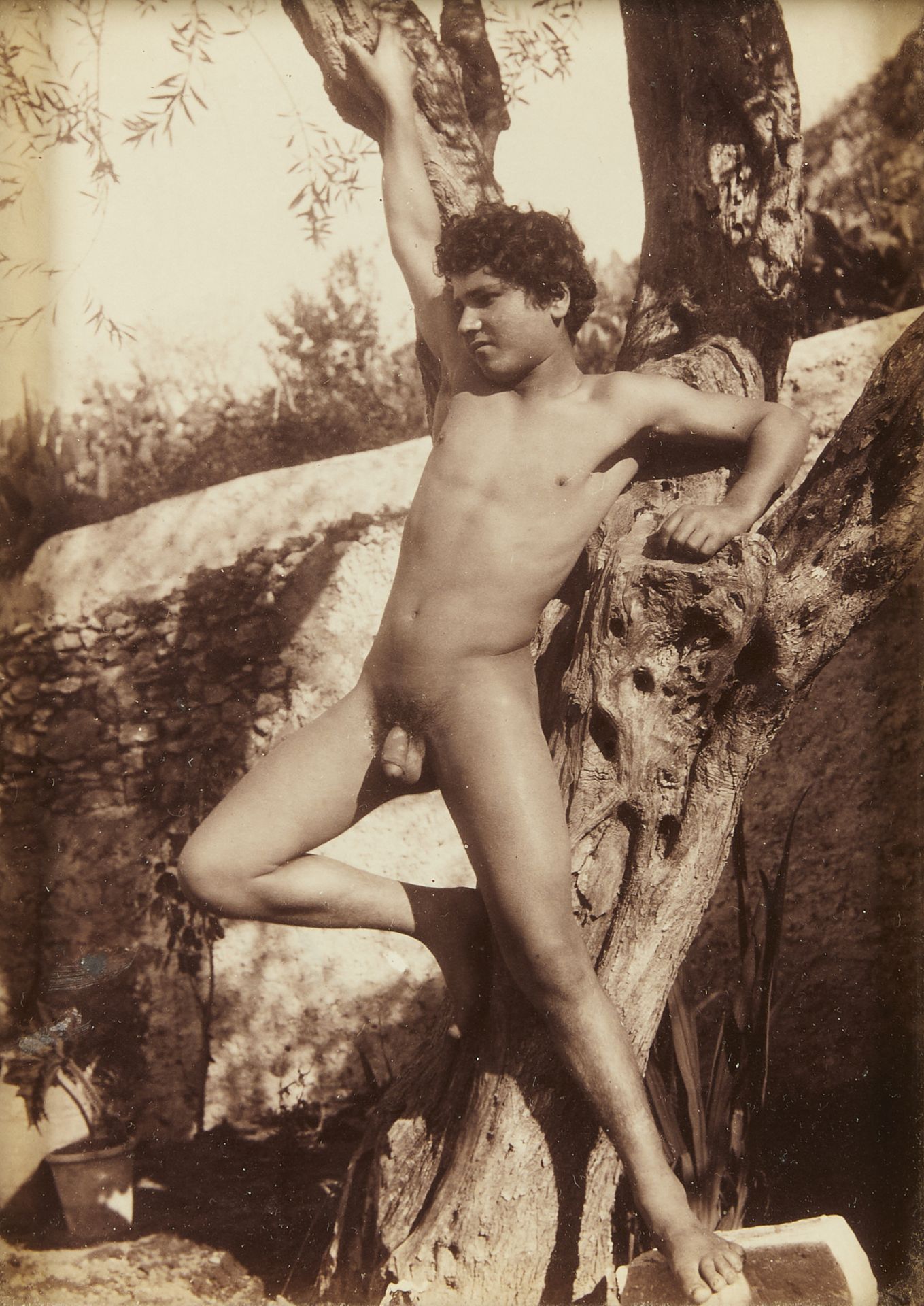 Wilhelm von Gloeden Nude GSP Photograph - Bild 2 aus 5