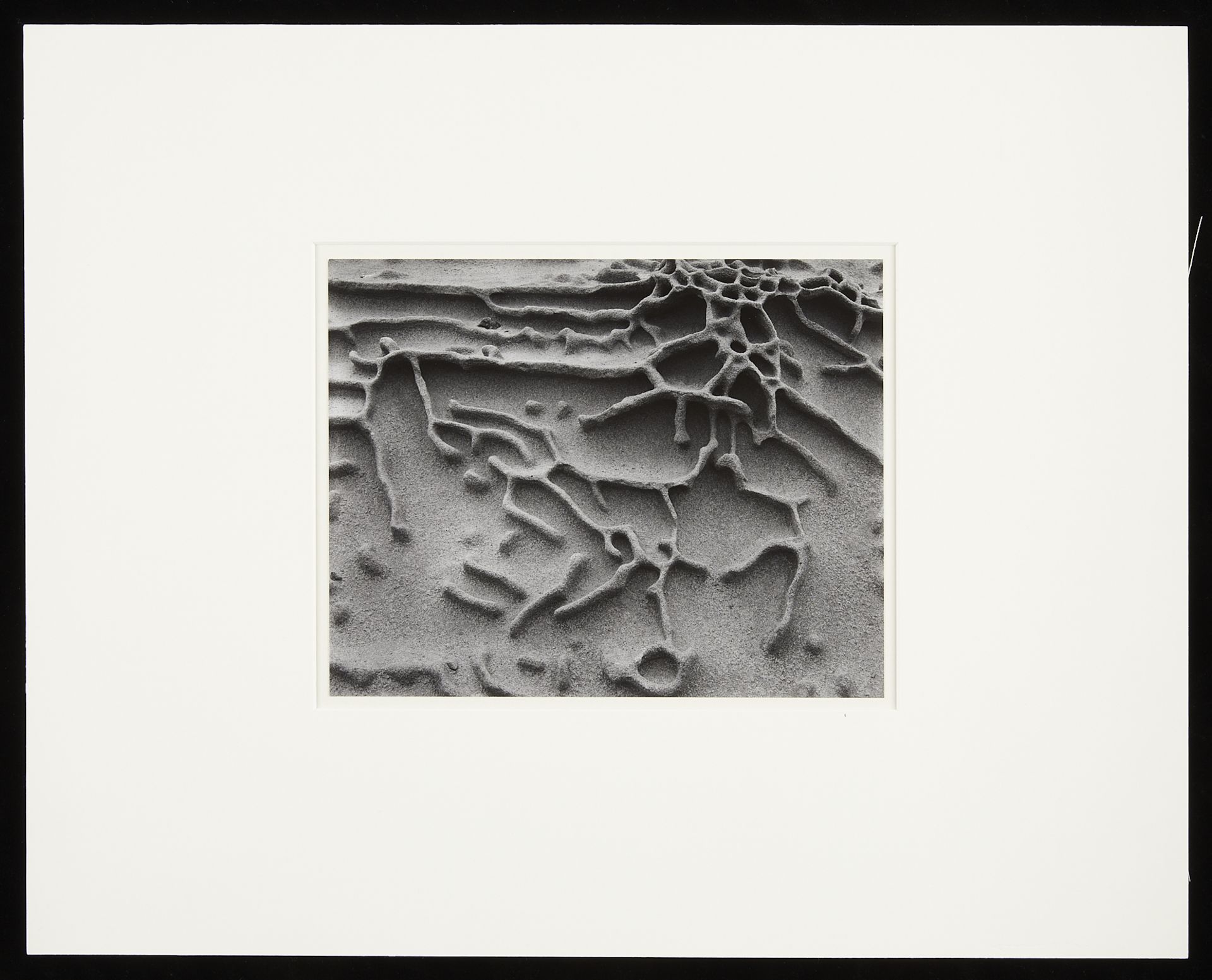 Edward & Cole Weston "Sandstone Erosion" GSP - Bild 4 aus 8