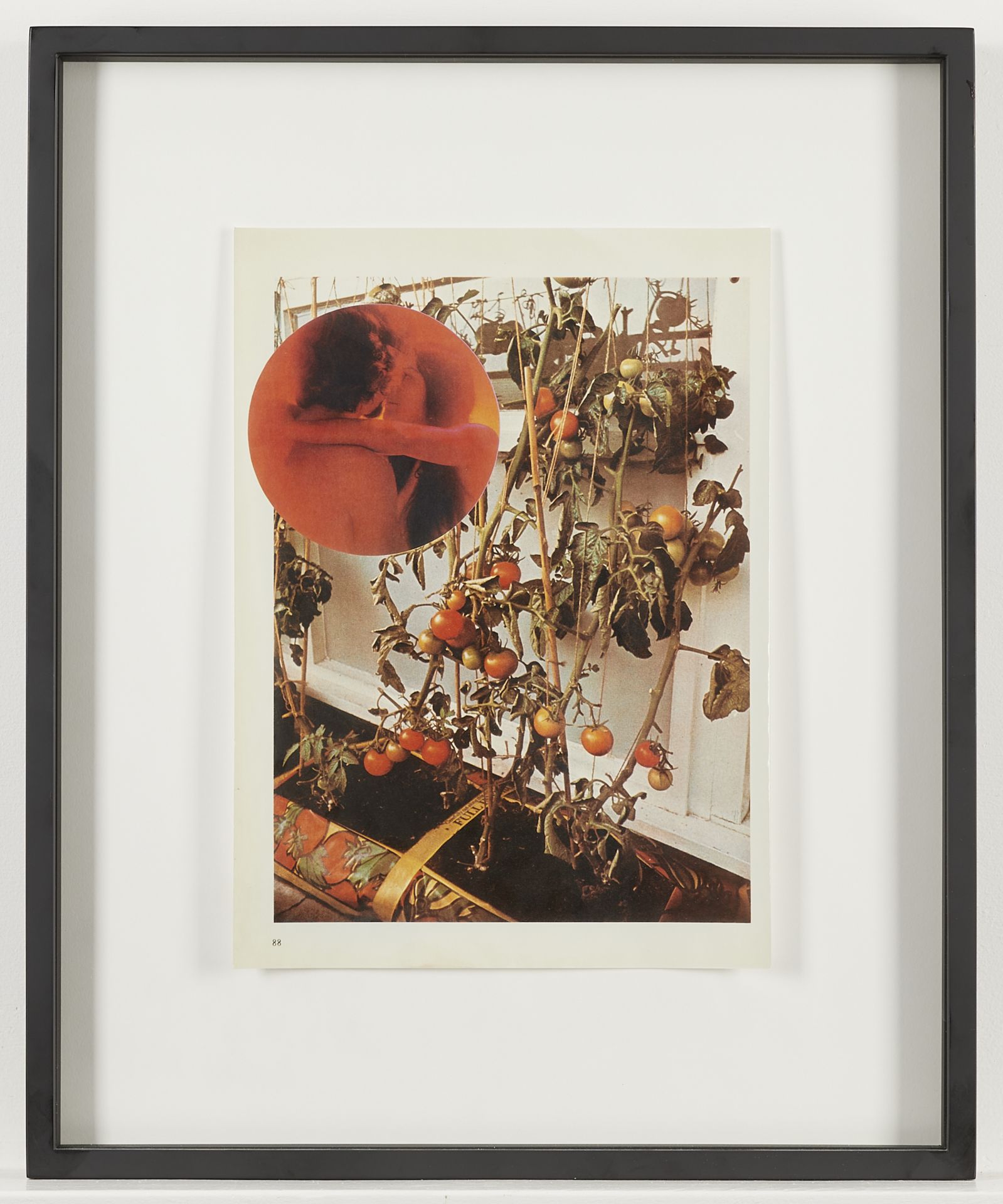 Wade Guyton â€œThe Tomato Loversâ€ Photograph 2006 - Bild 3 aus 7