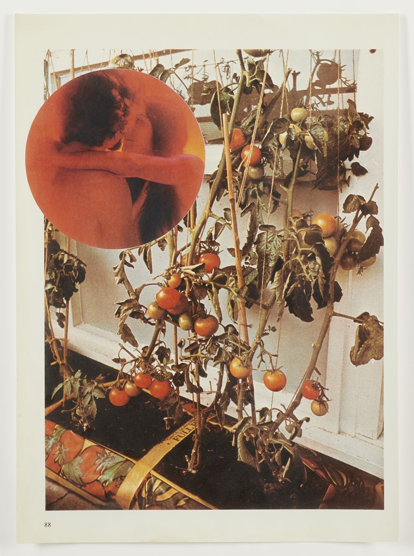 Wade Guyton â€œThe Tomato Loversâ€ Photograph 2006