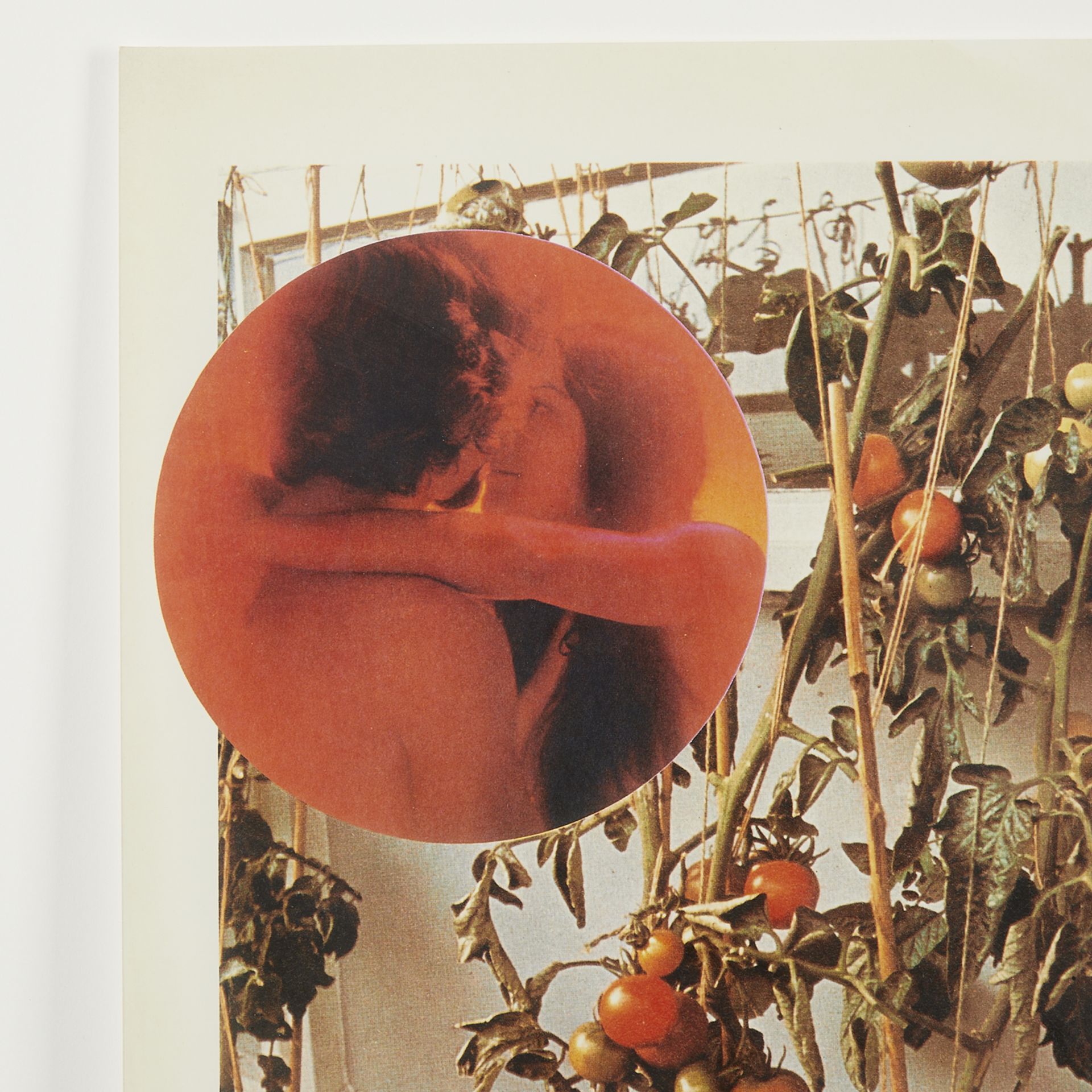 Wade Guyton â€œThe Tomato Loversâ€ Photograph 2006 - Bild 2 aus 7