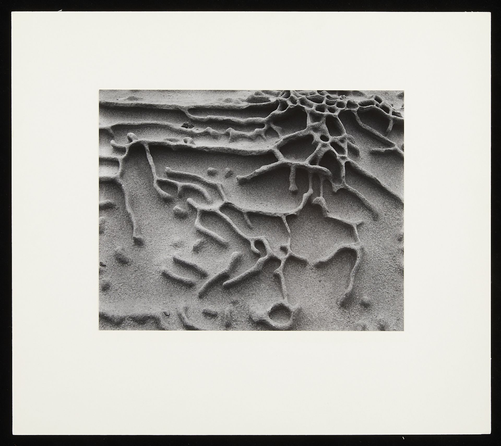 Edward & Cole Weston "Sandstone Erosion" GSP - Bild 5 aus 8