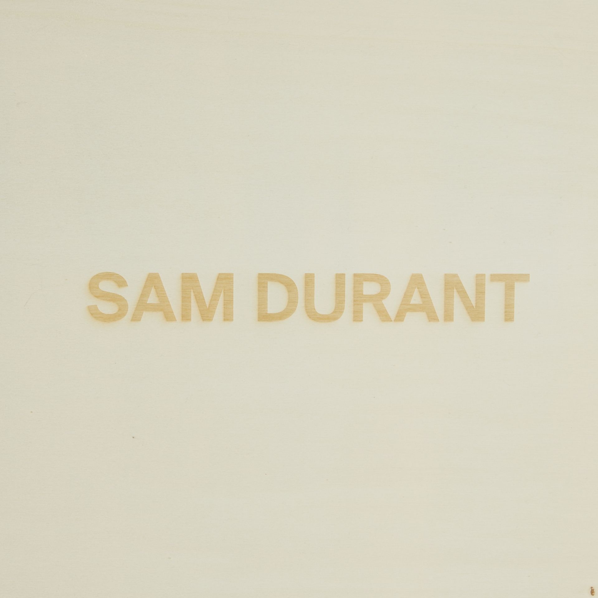 Sam Durant "Tell It Like It Is" Electric Sign 2020 - Bild 10 aus 11