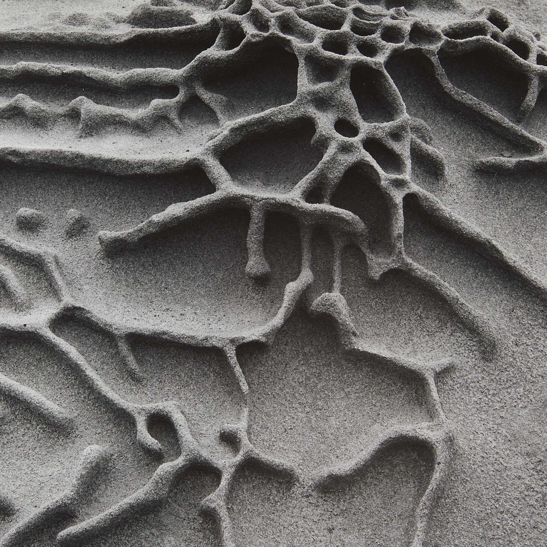 Edward & Cole Weston "Sandstone Erosion" GSP - Bild 2 aus 8