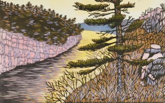 Jim Meyer "Narrow Passage" Woodcut 1997