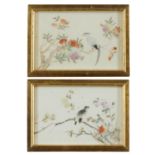 Pair of Chinese Guangxu Porcelain Plaques of Birds
