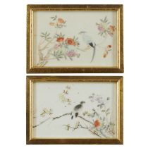 Pair of Chinese Guangxu Porcelain Plaques of Birds