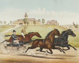 Currier & Ives "Celebrated Stallion Trio" Print