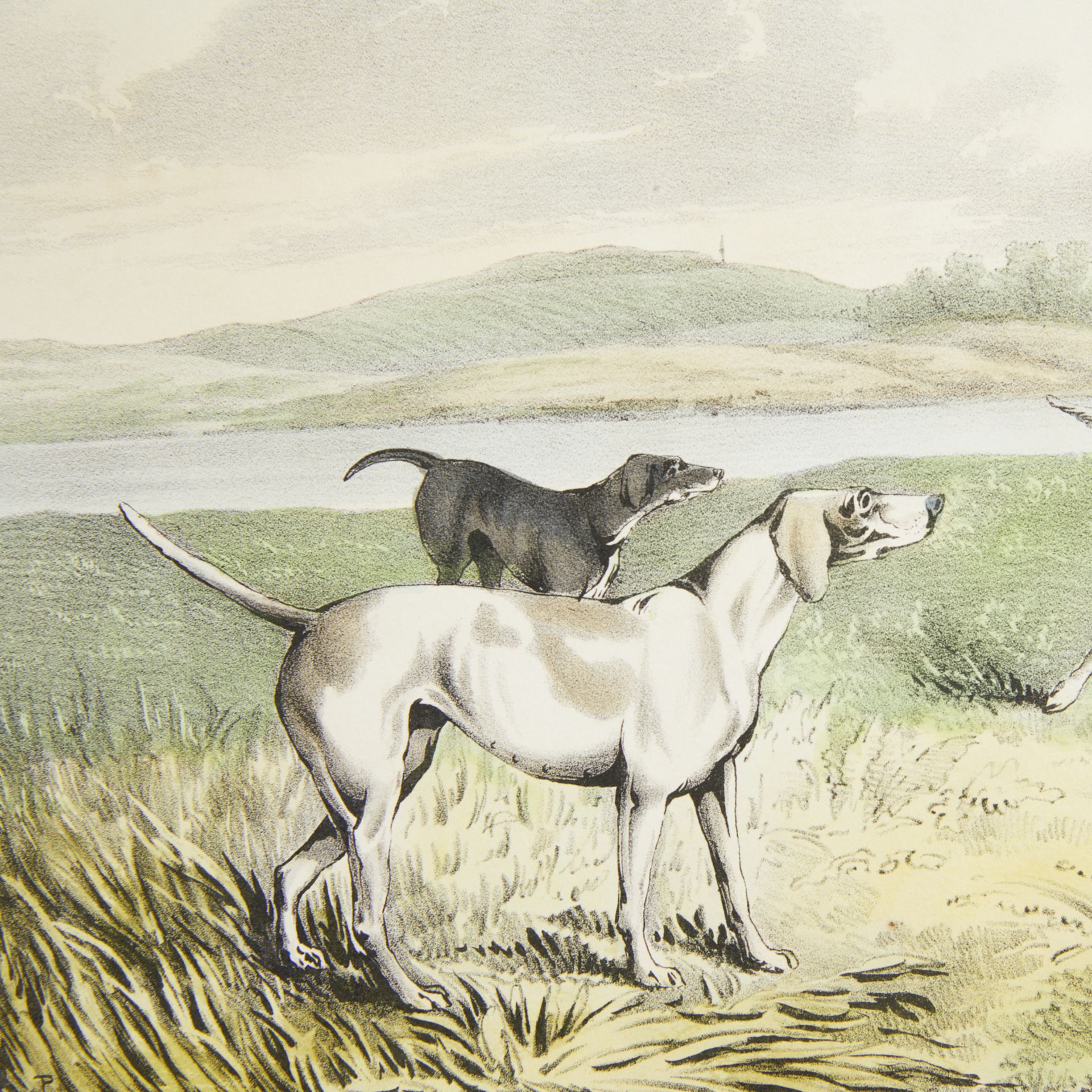 Currier & Ives "Pointers" Print 1846 - Image 6 of 8