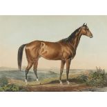 Currier & Ives "Celebrated Horse Lexington" Print