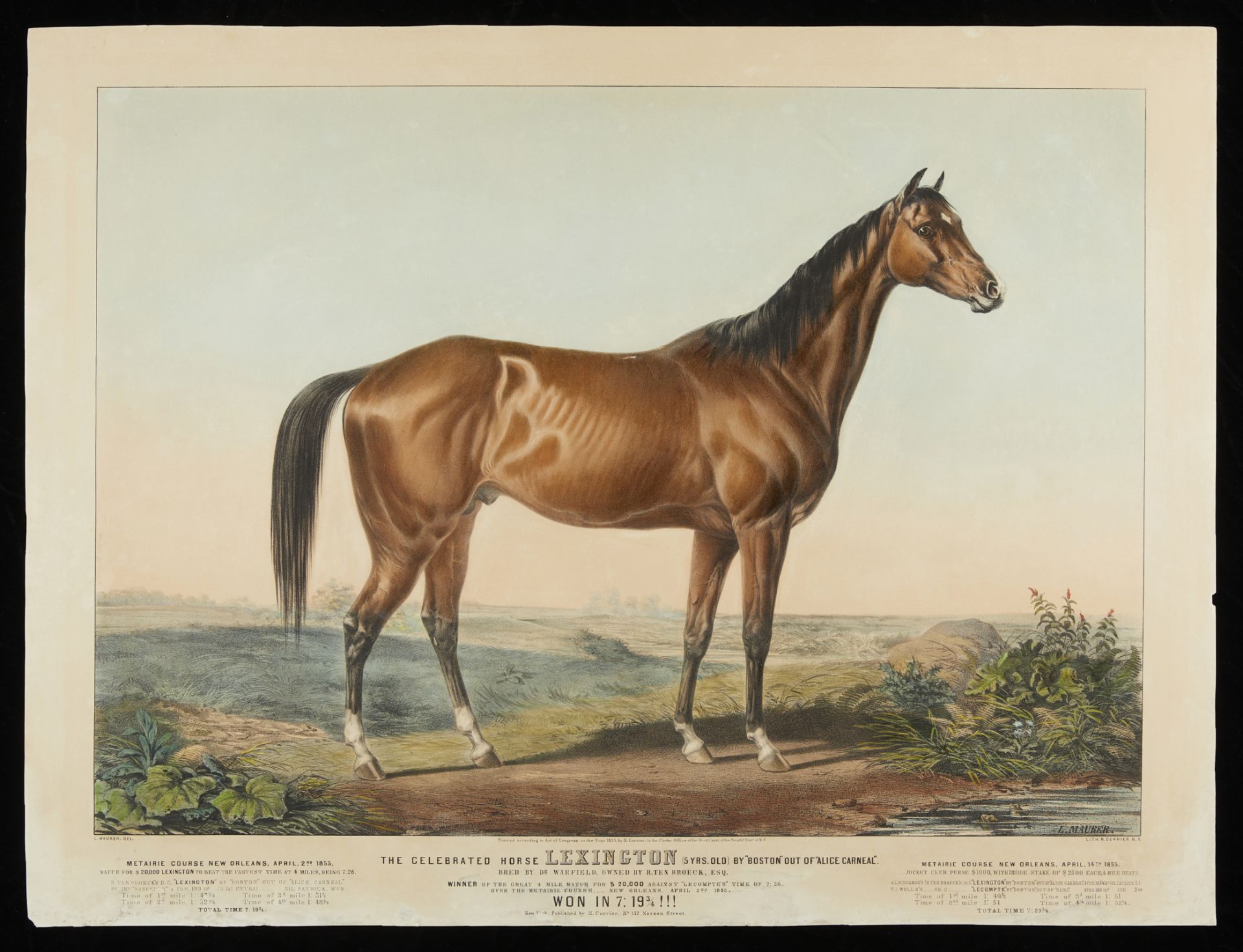 Currier & Ives "Celebrated Horse Lexington" Print - Image 3 of 11