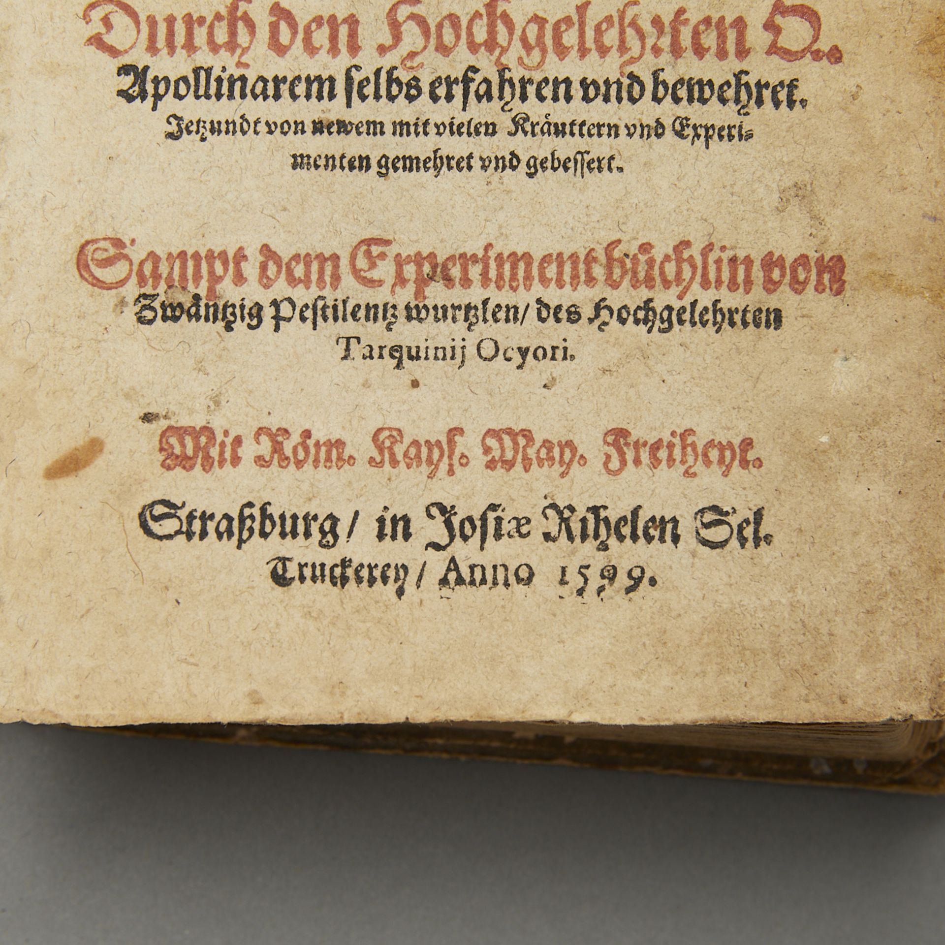 Ryff "Kurtzes Handtbuchlein und Experiment" 1599 - Image 7 of 16