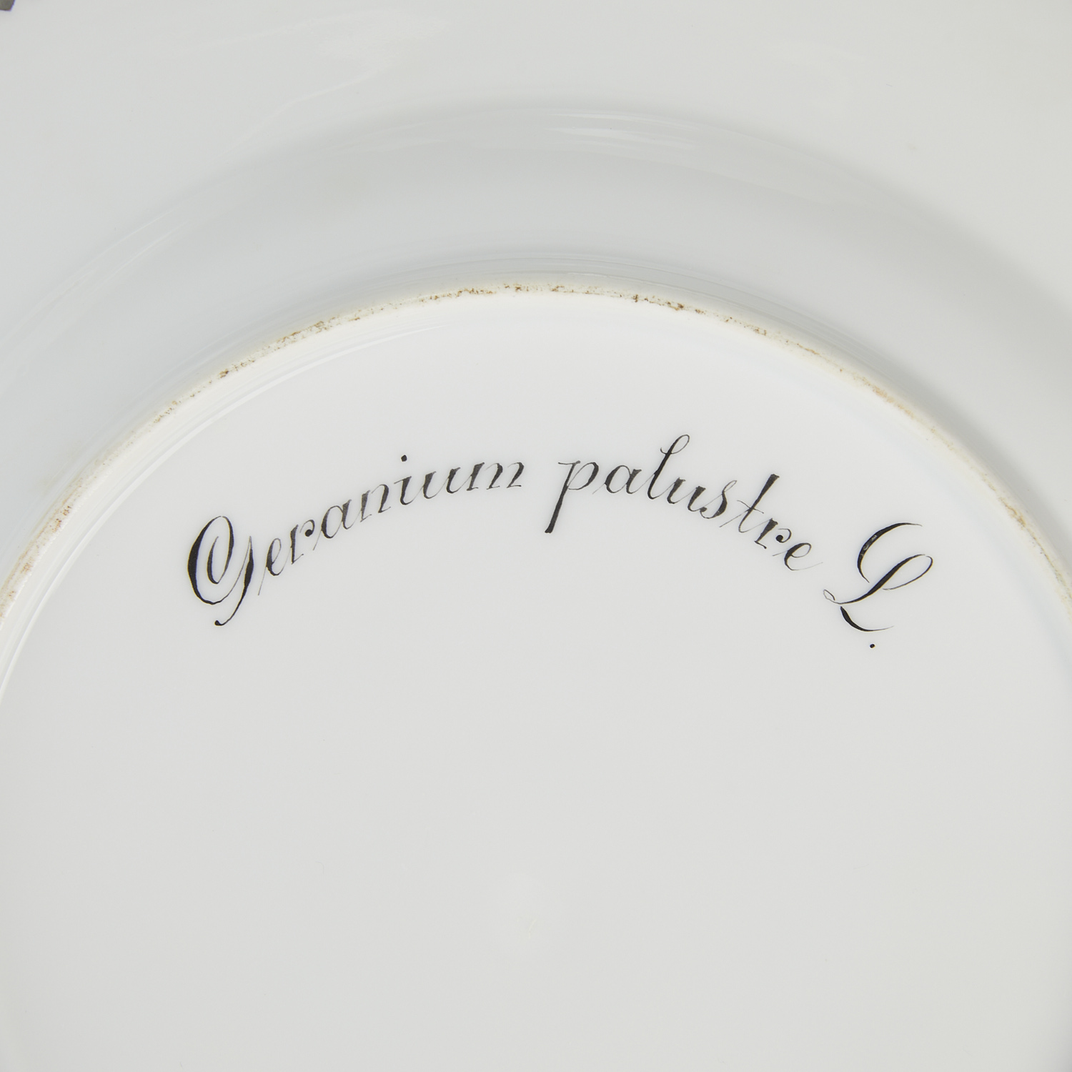 Set 11 Flora Danica Luncheon Plates - Image 7 of 22