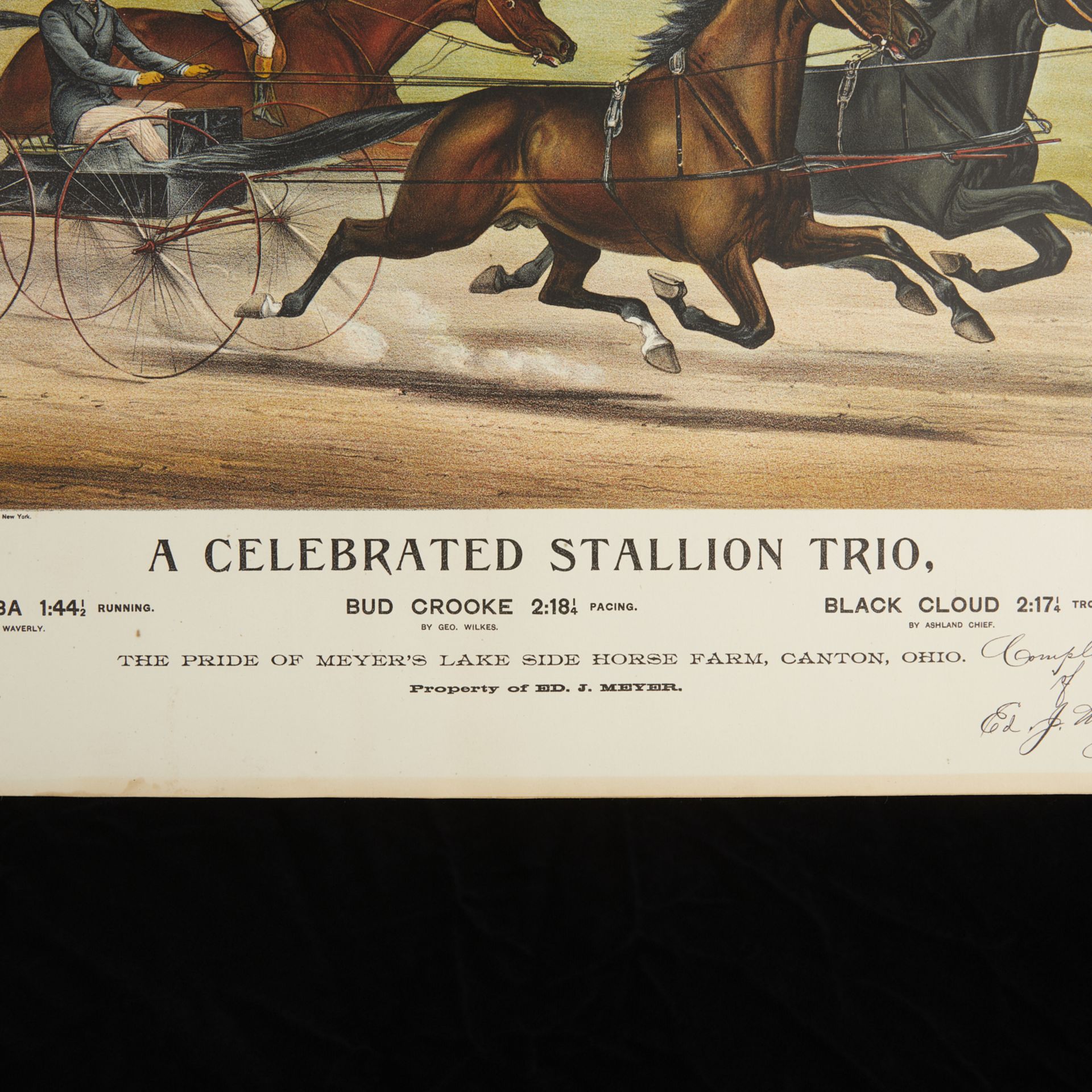 Currier & Ives "Celebrated Stallion Trio" Print - Image 2 of 9
