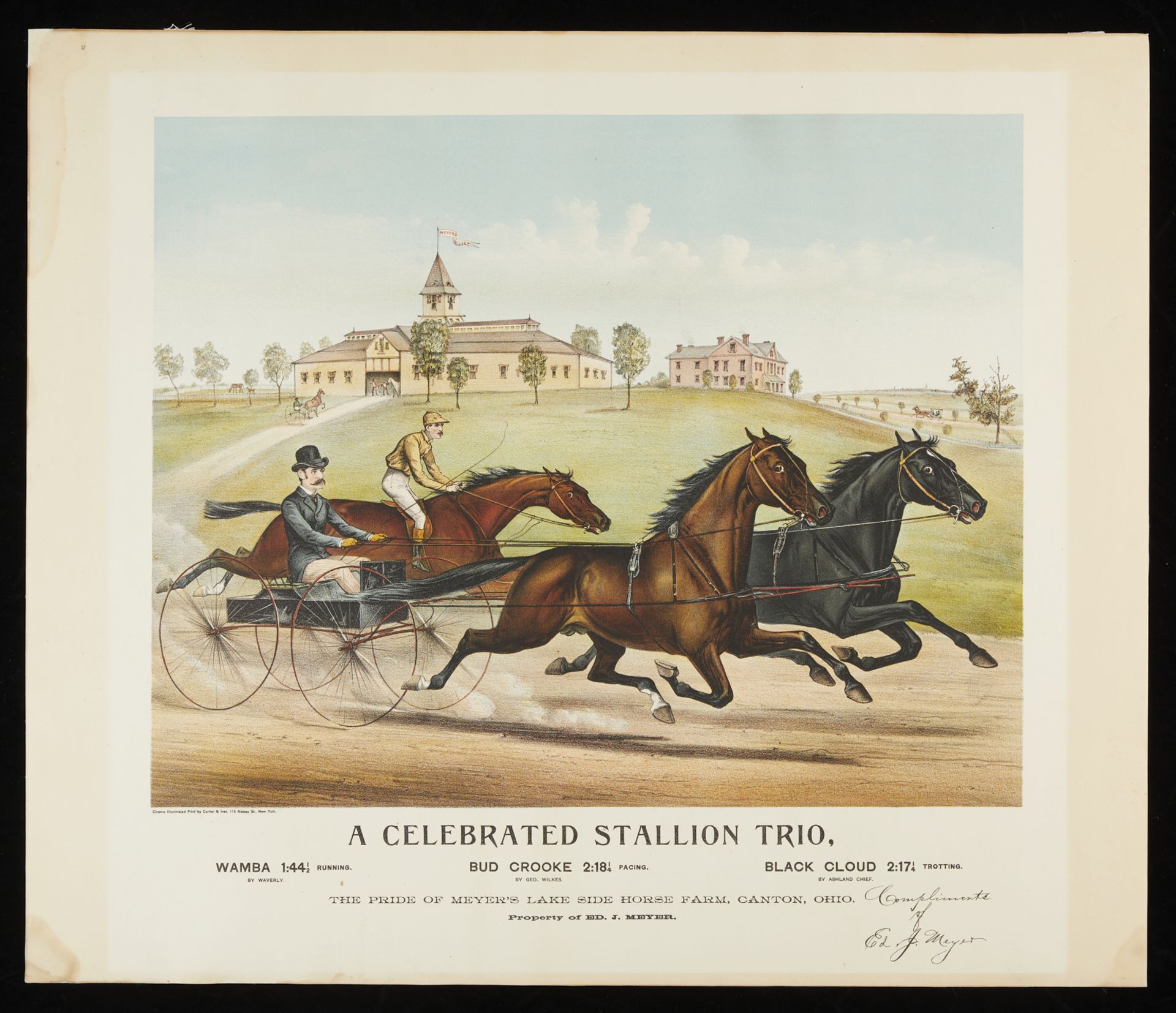 Currier & Ives "Celebrated Stallion Trio" Print - Image 3 of 9