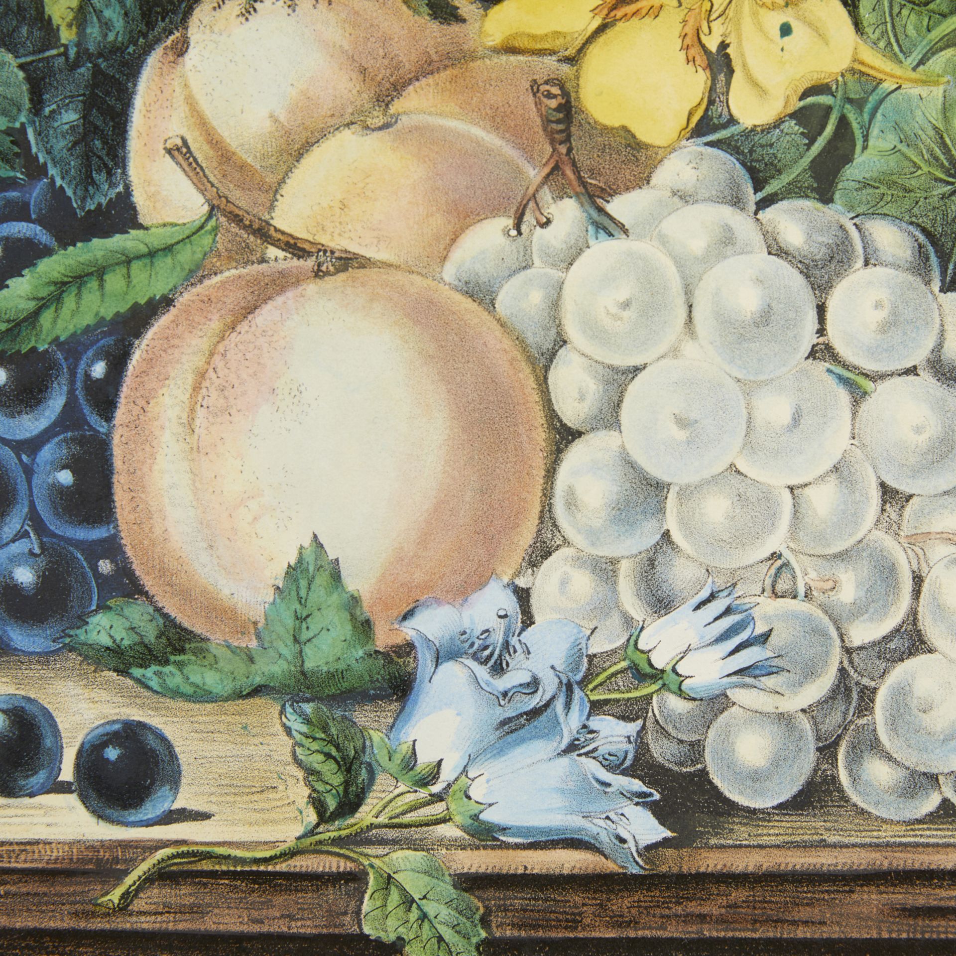 Currier & Ives "Fruit & Flowers" Print 1870 - Image 6 of 8
