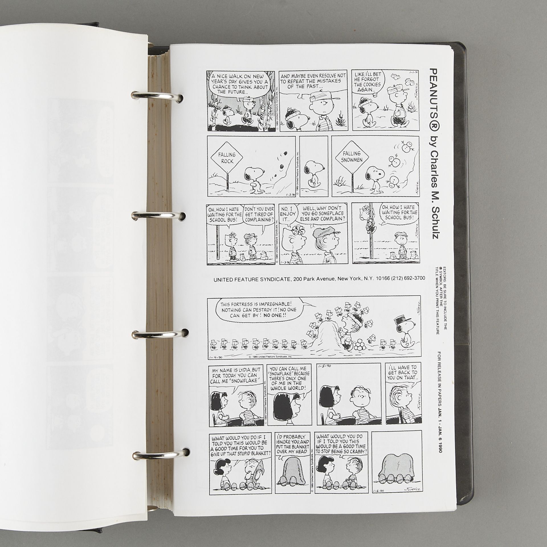 4 Peanuts Binders - Comics & Character Portfolio - Bild 15 aus 22