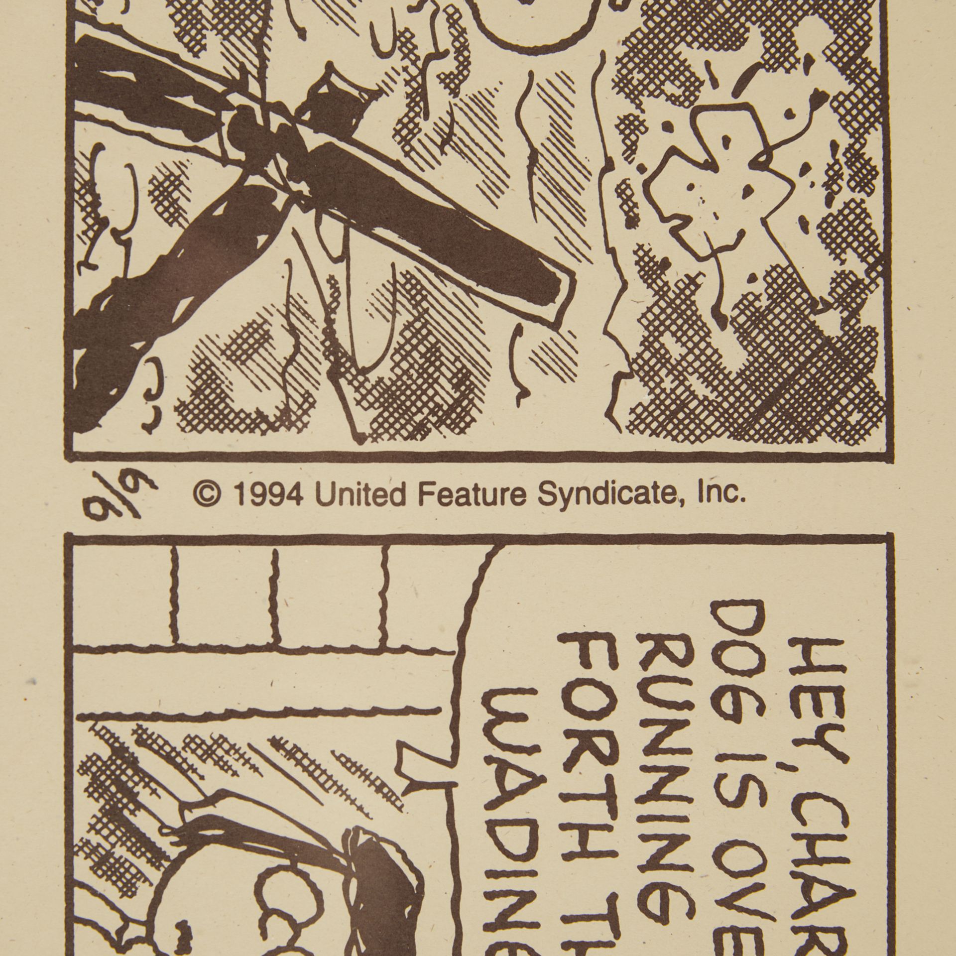 Peanuts Comic Strip Lithograph June 6, 1994 - Bild 7 aus 9