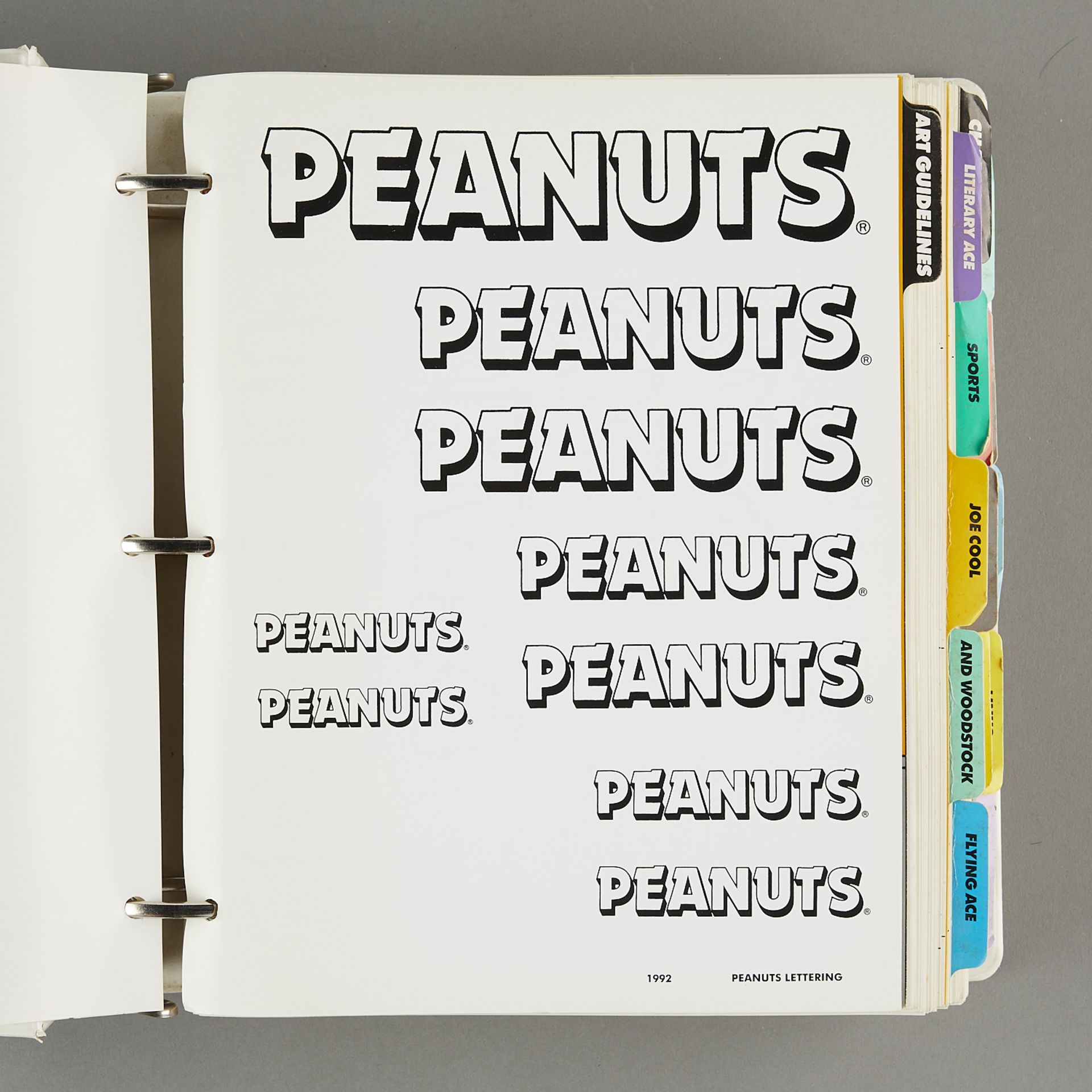 4 Peanuts Binders - Comics & Character Portfolio - Bild 4 aus 22